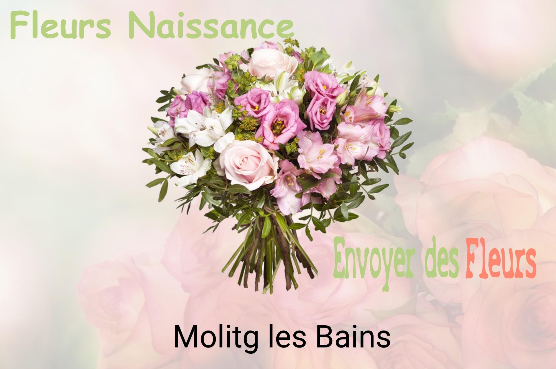Bouquet de fleurs de naissance livré à Molitg-les-Bains